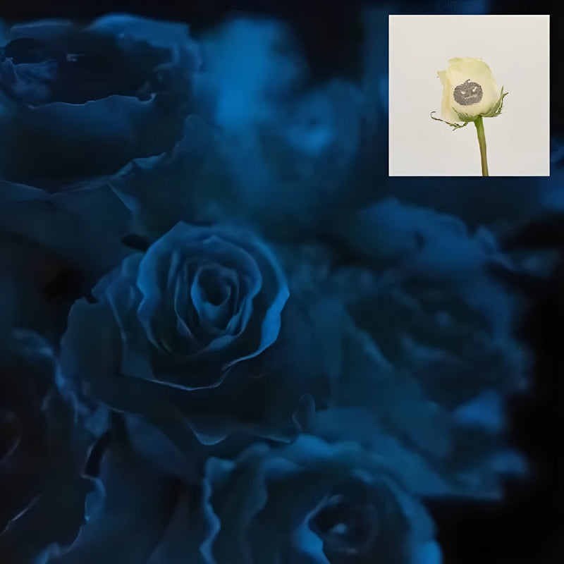 Glow In The Dark Jack O Lantern Roses - Image