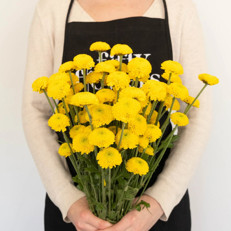 Goal Mini Button Pom Yellow Flower Apron - Image