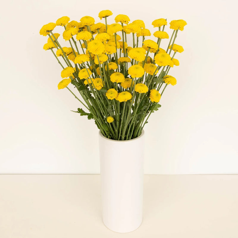 Goal Mini Button Pom Yellow Flower Vase - Image