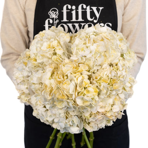 Gold Flecked White Hydrangea Apron - Image