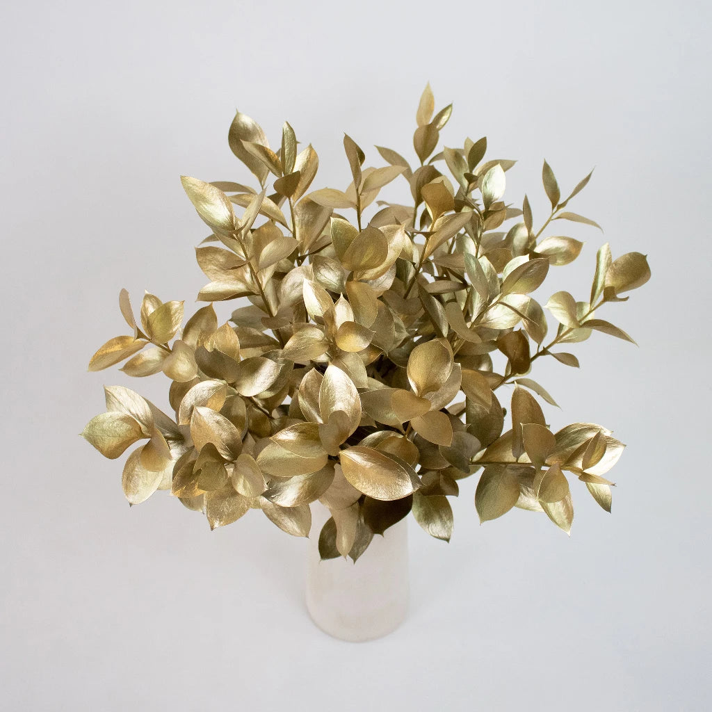 FiftyFlowers Ruscus Greenery - Thumbnail 4