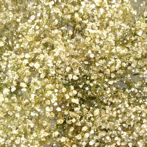 Gold Glitter Tinted Baby's Breath Flower