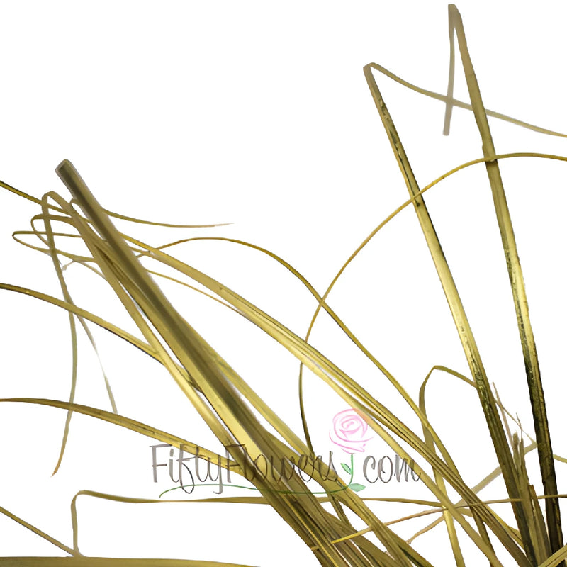 Wedding greenery gold bear grass filler flowers sold near me