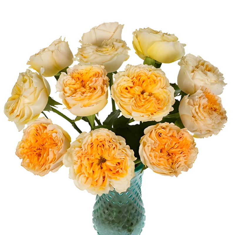 Golden Apricot Garden Wholesale Roses In a vase