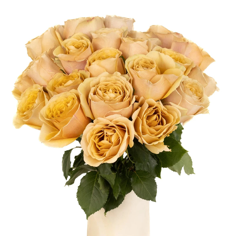 Golden Mustard Garden Rose Vase - Image