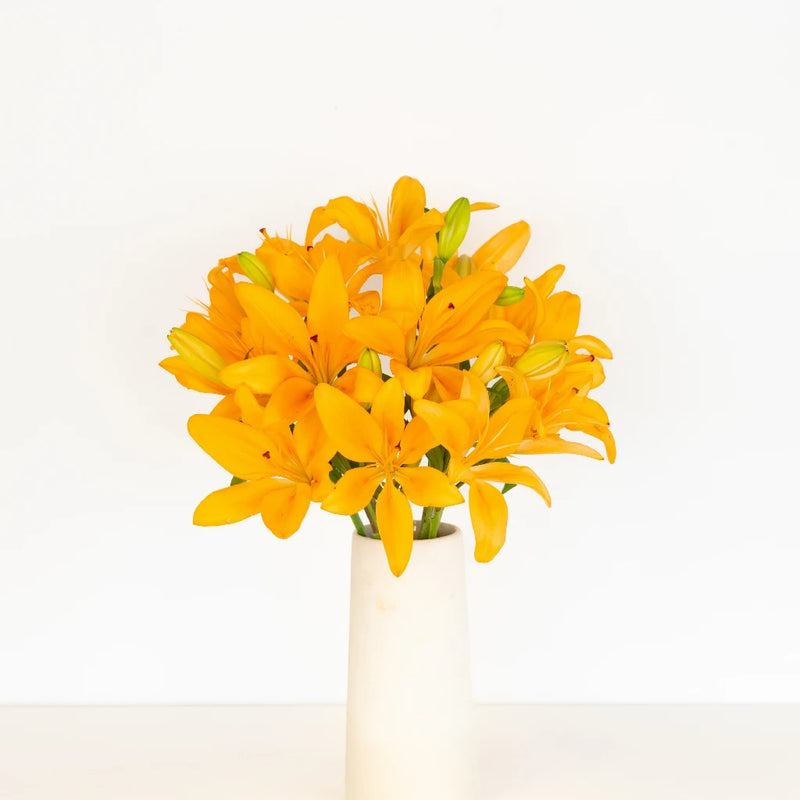 Golden Orange Hybrid Lily Vase - Image