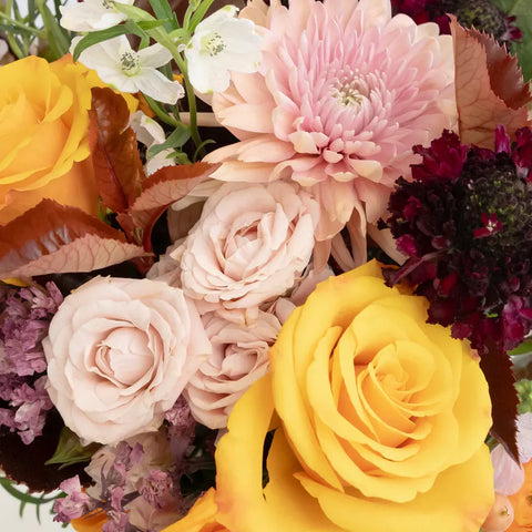 Golden Plum Garden Diy Flower Kit Close Up - Image