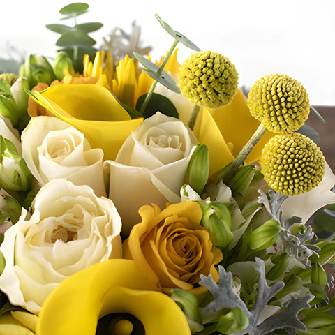 Golden Ray Bouquet and Boutonniere