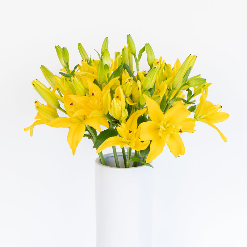 Golden Yellow Butterfly Lily Flower Vase - Image