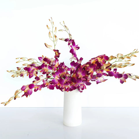 Golden Yellow Dendrobium Dyed Orchid Vase - Image