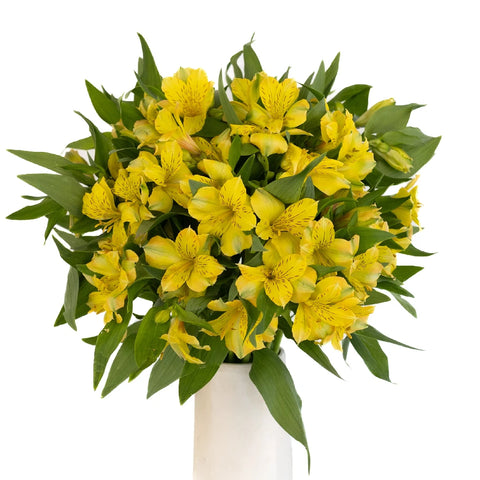 Golden Yellow Peruvian Lilies Vase - Image