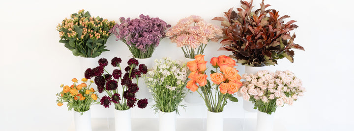 Golden Plum Garden DIY Flower Kit
