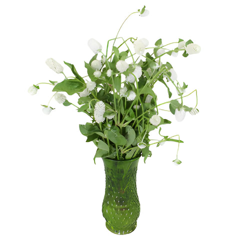 White Gomphrena Wedding Flowers