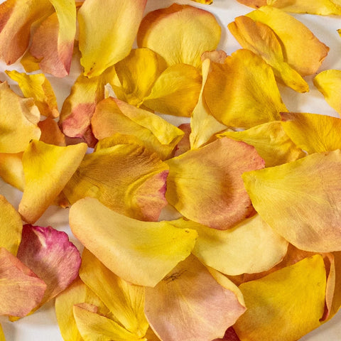Good As Gold Dried Rose Petals Close Up - Image