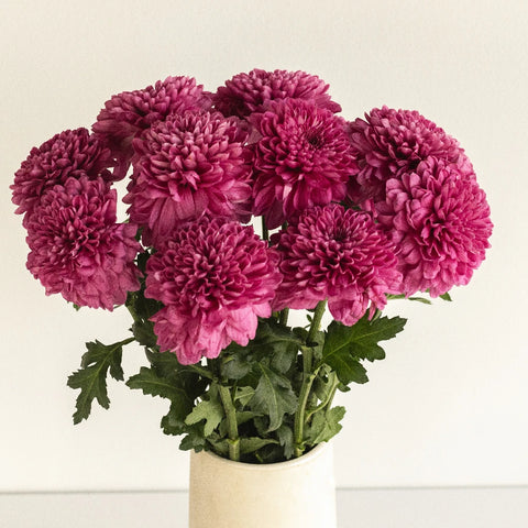 Good Night Bahlia Flower Vase - Image