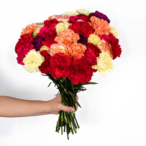 Graceful Mother's Day Carnation Flowers Hand - Image
