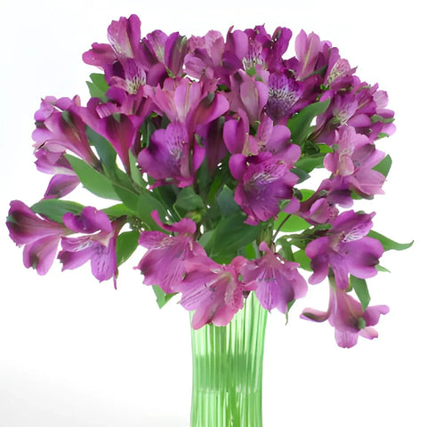 Grape Purple Peruvian Lilies Vase - Image