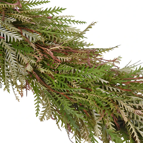 Grevillea Greens Garland