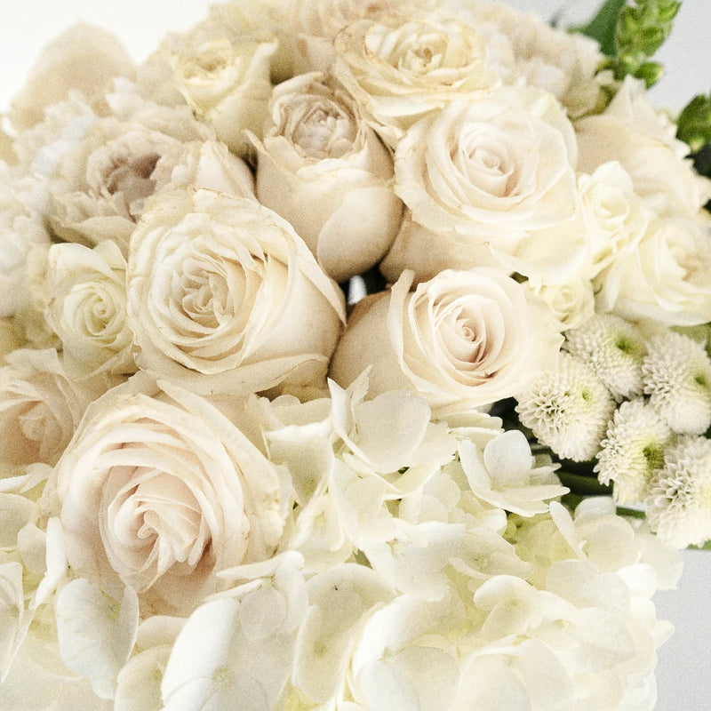 Green And White Wedding Collection - Image