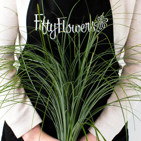 Green Bear Grass Greenery Bunch in Hand