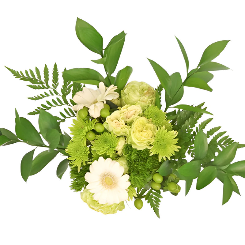 Green Fresh Classic Centerpieces