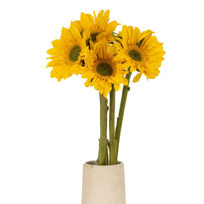 Green Center Sunflowers Vase - Image