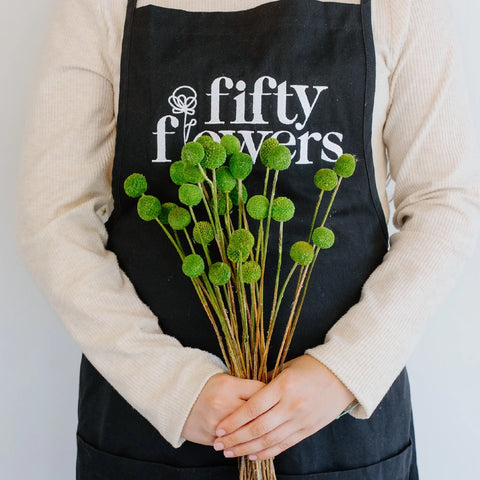Green Dried Craspedia Billy Ball Apron - Image