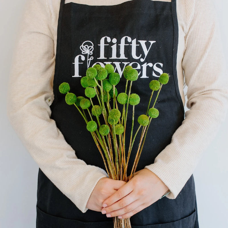 Green Dried Craspedia Billy Ball Apron - Image