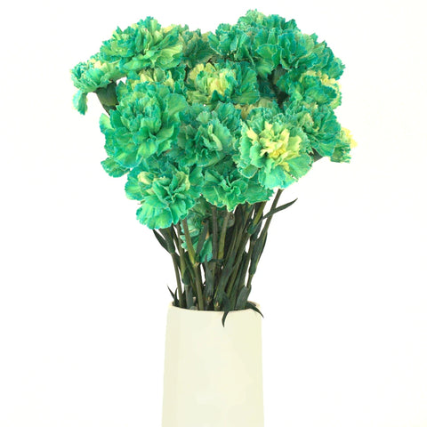 Green Enhanced Carnation Flower Vase - Image