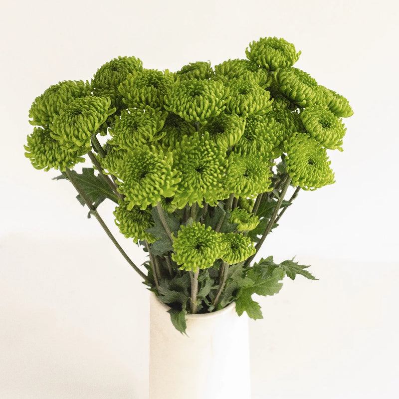 Green Envy Pom Flower Vase - Image