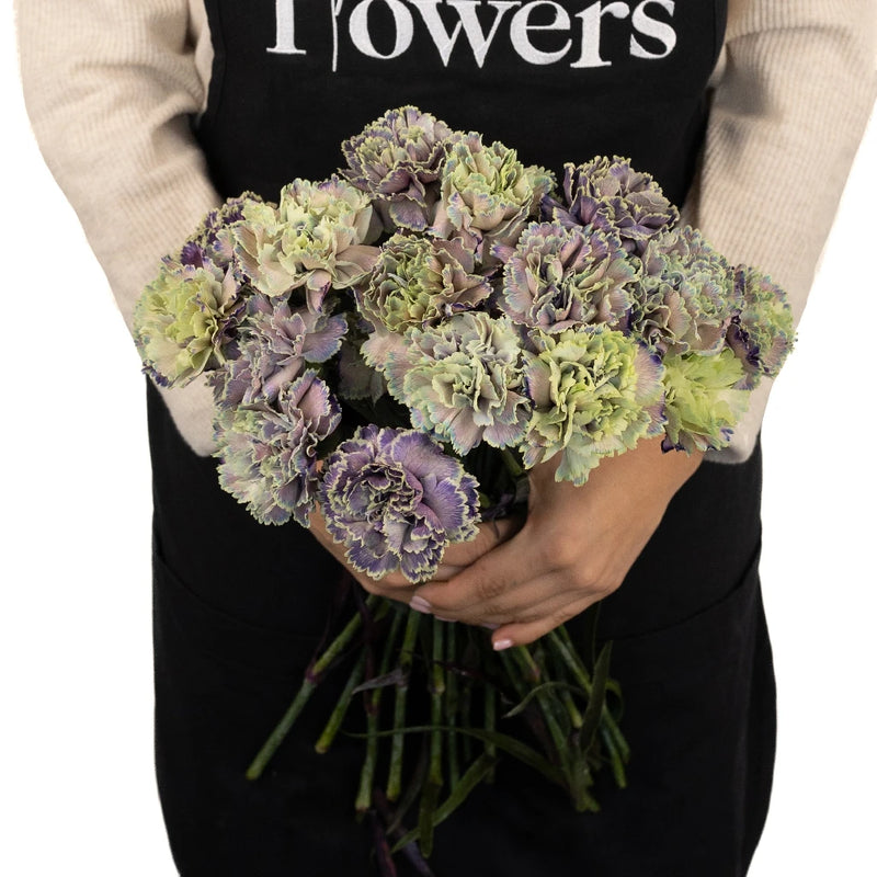 Green Folklore Carnation Flower Stem - Image