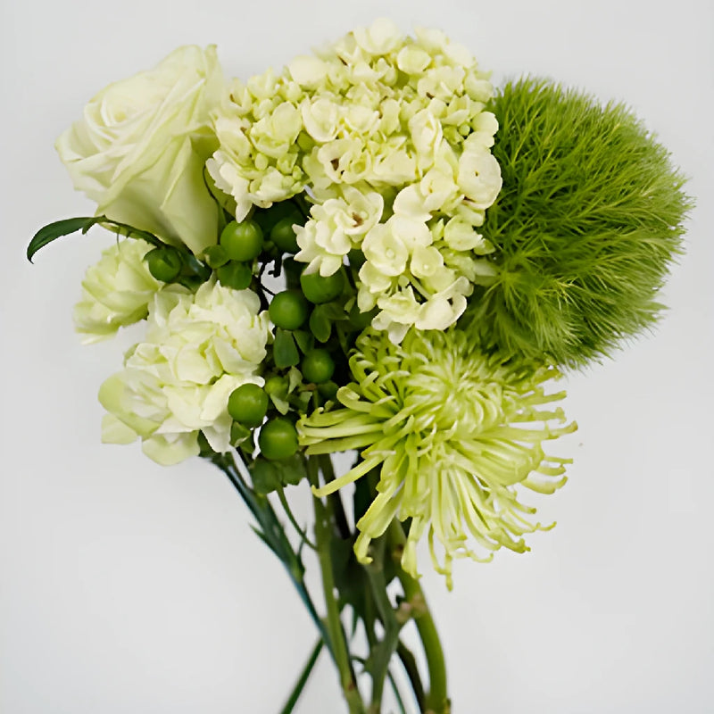 Green Gem Combo DIY Flower Kit Up Close