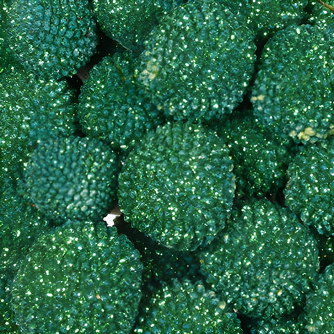 Green Glitter Tinted Craspedia Billy Balls