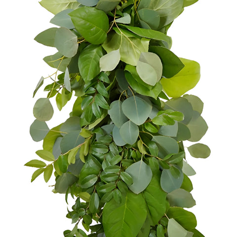 Silver Dollar Eucalyptus, Huck and Salal Greens Garland