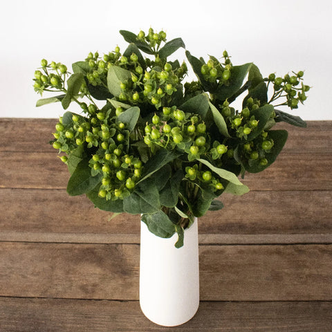 Green hypericum berry flowers for delivert