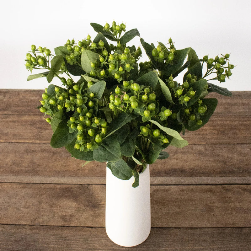 Green hypericum berry flowers for delivert