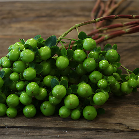 Green Hypericum Berries