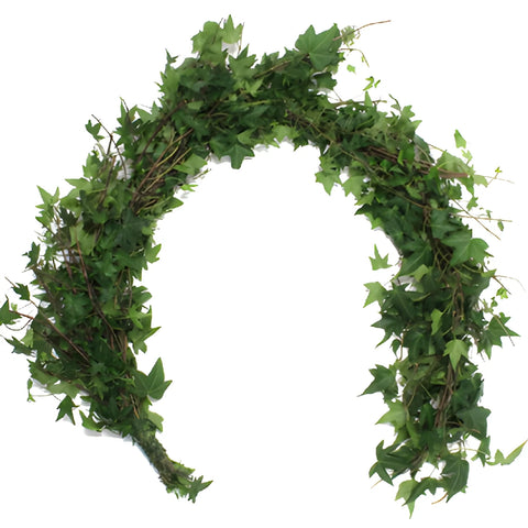 Green Ivy Budget Fresh Cut Garland