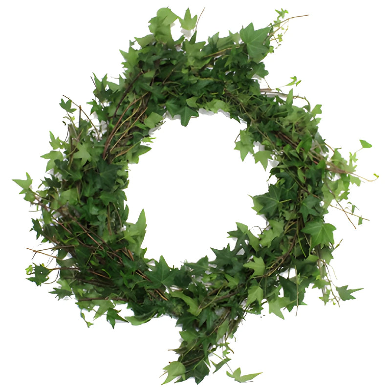 Green Ivy Budget Fresh Cut Garland