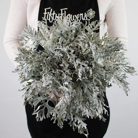 Green Lacy Leaf Greenery Bunch in Hand