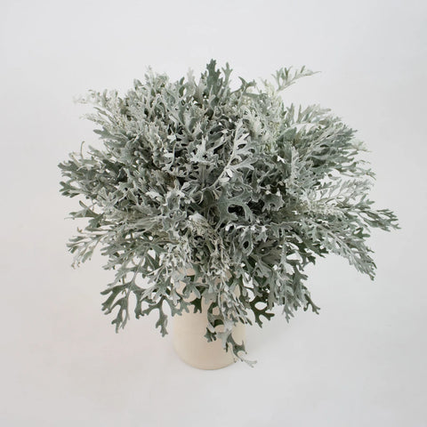 Green Lacy Leaf Greenery Bunch in Vase