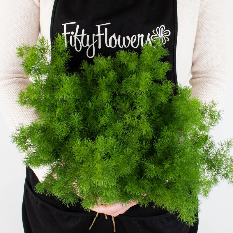 Green Ming Fern Greenery Bunch in Hand