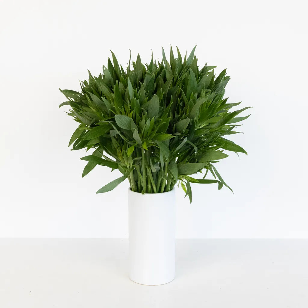 Buy Wholesale Green Planet Alstromelia Flowers in Bulk - FiftyFlowers
