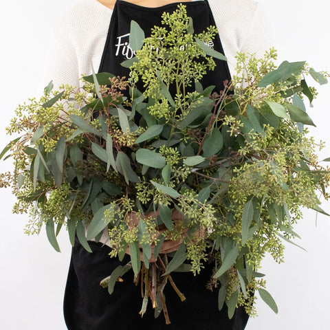 Green Seeded Eucalyptus Greenery Bunch in Hand