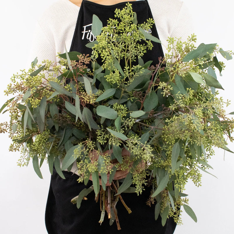 Green Seeded Eucalyptus Greenery Bunch in Hand