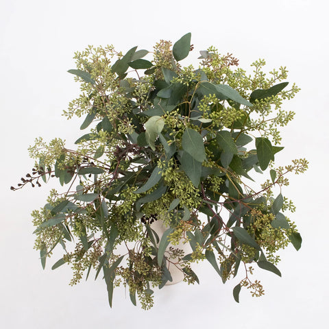 Green Seeded Eucalyptus Greenery Bunch in Vase