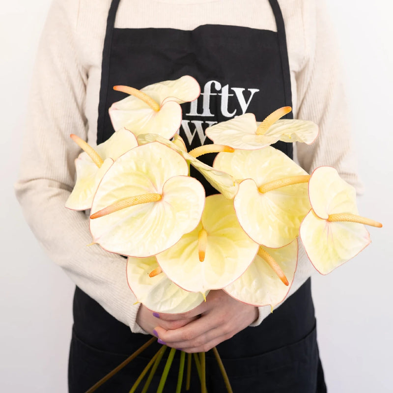 Green Tea Designer Anthurium Flower - Image