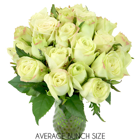 Emerald Mist Sweetheart Roses