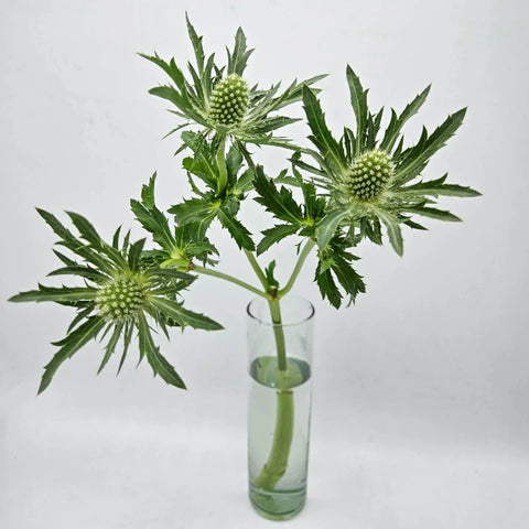 Green Thistle Flowers Vase - Image