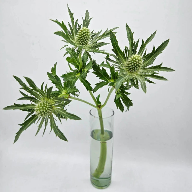 Green Thistle Flowers Vase - Image